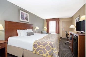 Room, 1 King Bed with Sofa bed