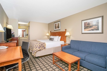 Room, 1 King Bed with Sofa bed