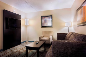 Suite, 1 King Bed with Sofa bed (Mobility/Hearing Access, Roll-in Shwr)
