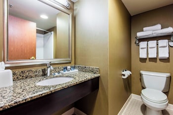Room, 1 King Bed