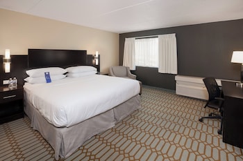 Suite, 1 King Bed with Sofa bed (Mobility/Hearing Access, Roll-in Shwr)