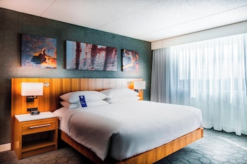 Room, 1 King Bed