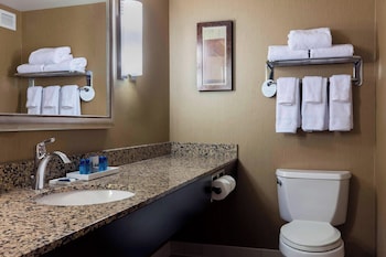 Suite, 1 King Bed with Sofa bed (Mobility/Hearing Access, Roll-in Shwr)