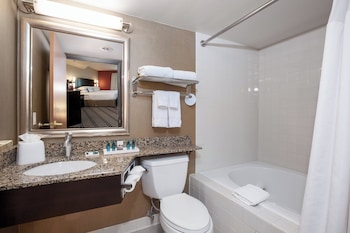 Suite, 1 King Bed with Sofa bed