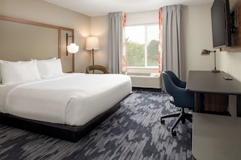 Room, 1 King Bed with Sofa bed