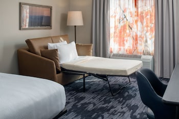 Room, 1 King Bed with Sofa bed