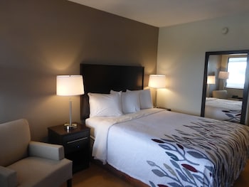 Deluxe Room, 1 Queen Bed, Non Smoking