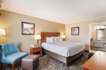 Standard Room, 1 King Bed, Smoking, Refrigerator & Microwave