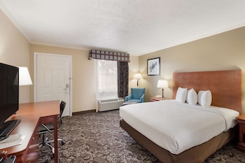 Standard Room, 1 Queen Bed, Non Smoking, Refrigerator & Microwave
