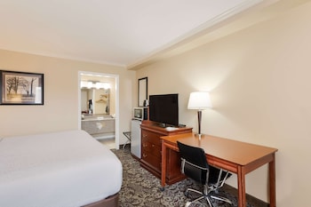 Standard Room, 1 King Bed, Smoking, Refrigerator & Microwave