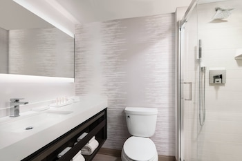 Room, 1 King Bed (Mobility Accessible, Roll-in Shower)