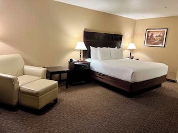 Standard Room, 1 King Bed, Non Smoking, Refrigerator & Microwave