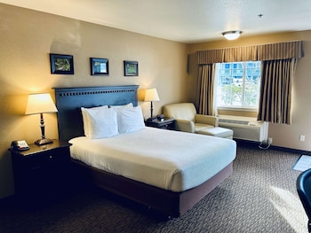 Standard Room, 1 Queen Bed, Accessible, Non Smoking (Walk-in Shower)