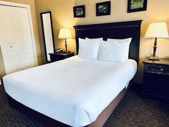 Standard Room, 1 Queen Bed, Accessible, Non Smoking (Walk-in Shower)