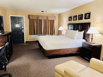 Standard Room, 1 King Bed, Non Smoking, Refrigerator & Microwave