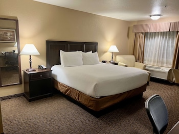 Standard Room, 1 King Bed, Accessible, Non Smoking (Walk-in Shower)