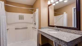 Standard Room, 1 Queen Bed, Accessible, Non Smoking (Walk-in Shower)
