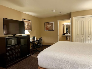 Standard Room, 1 King Bed, Accessible, Non Smoking (Walk-in Shower)