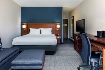 Room, 1 King Bed with Sofa bed
