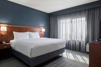 Suite, 1 King Bed with Sofa bed (Hearing Accessible)