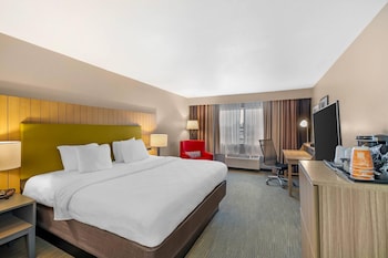 Room, 1 King Bed, Non Smoking