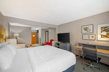 Suite, 1 King Bed, Accessible, Non Smoking