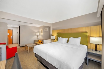 Room, 1 King Bed, Accessible, Non Smoking