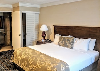 Room, 1 King Bed, Accessible, Non Smoking (Mobility/Hearing Impaired)