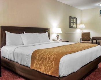 Deluxe Room, 1 King Bed, Non Smoking (Whirlpool In Bath)