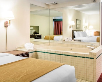 Deluxe Room, 1 King Bed, Non Smoking (Whirlpool In Bath)