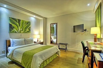 Standard Room (Plus)