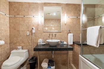 Deluxe Studio Suite (Top Floor with premium amenities)