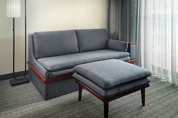 Deluxe Room, 1 King Bed with Sofa bed (Mobility Accessible, Transfer Shower)