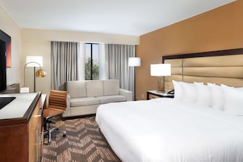 Room, 1 King Bed, Accessible, Non Smoking (Roll-in Shower)