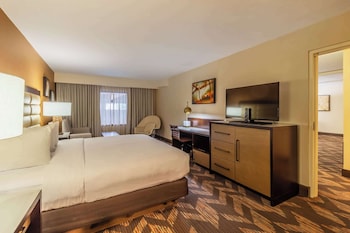 Executive Suite, 1 King Bed, Non Smoking