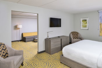 Suite, 1 Bedroom