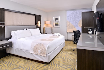 Standard Room, 1 King Bed, Accessible (Mobility, Accessible Tub)