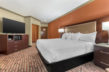 Standard Room, 1 King Bed, Non Smoking, Refrigerator & Microwave (Larger Room)