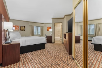 Standard Room, 1 King Bed, Non Smoking, Refrigerator & Microwave (Larger Room)