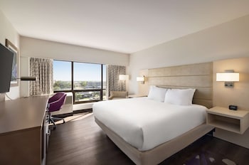 One King Bed, Non-Smoking, Roll In Shower