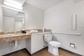 Studio, 1 Queen Bed, Non Smoking, Roll in Shower