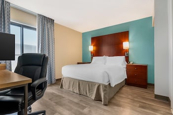 Studio, 1 Queen Bed, Non Smoking, Roll in Shower