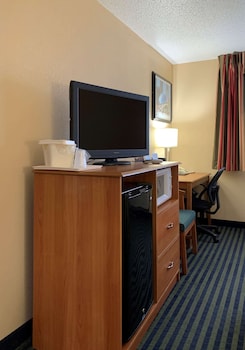 Room, 1 Queen Bed, Accessible, Non Smoking (Roll-In Shower)