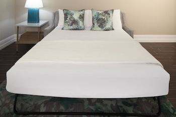 Suite, 1 Bedroom (2 Queens)