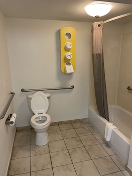 Standard Room, 1 King Bed, Accessible, Non Smoking