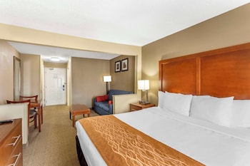 Standard Room, 1 King Bed with Sofa bed, Non Smoking