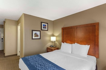Room, 1 Queen Bed, Non Smoking