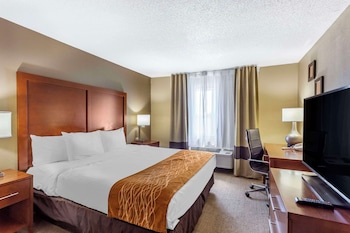 Standard Room, 1 King Bed with Sofa bed, Non Smoking