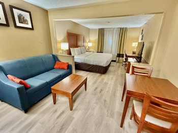 Standard Room, 1 King Bed with Sofa bed, Non Smoking