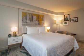 Room, 1 King Bed